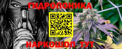 сатива Коммунар