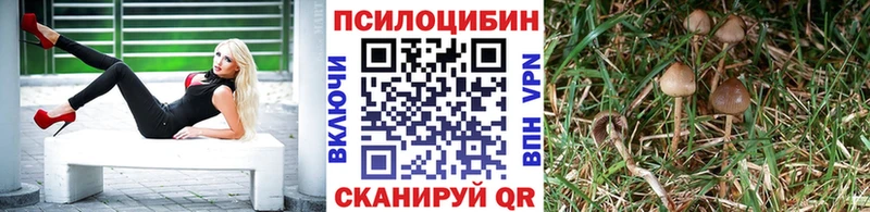 Галлюциногенные грибы ЛСД  Медногорск 