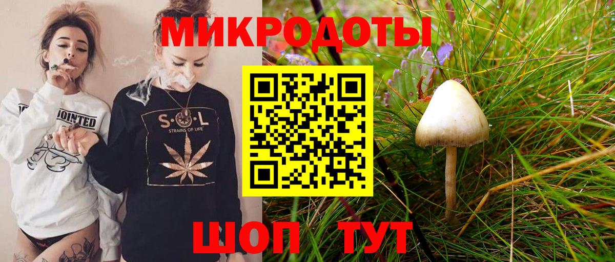 Псилоцибиновые грибы мухоморы Медногорск