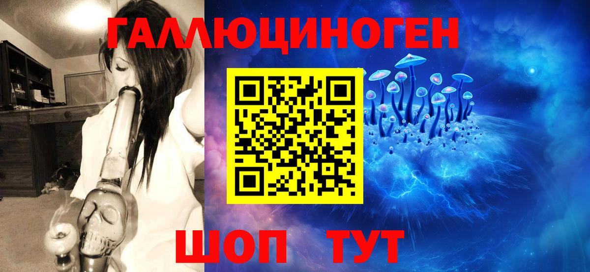 Галлюциногенные грибы Psilocybe  Медногорск  Галлюциногенные грибы Magic Shrooms 