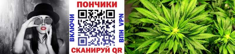 Бошки марихуана планчик  Медногорск 